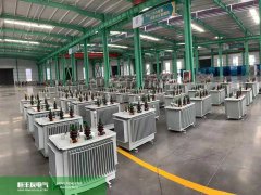 2026南非电力变压器市场准入与高能效配电方案