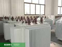 尼日利亚工业园区11kV油浸式配电变压器选型指南:应对高温环境与电网波动